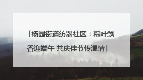 杨园街道纺器社区：粽叶飘香迎端午 共庆佳节传温情
