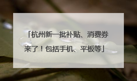 杭州新一批补贴、消费券来了！包括手机、平板等