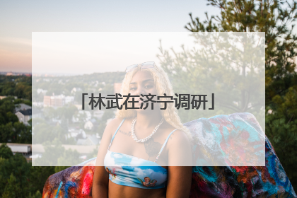 林武在济宁调研