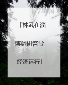 林武在淄博调研督导经济运行