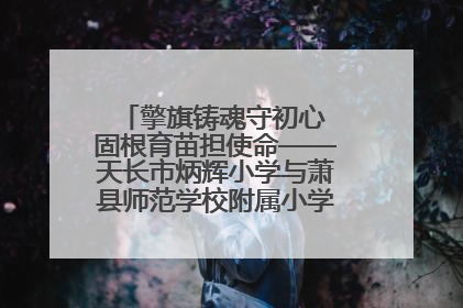 擎旗铸魂守初心 固根育苗担使命——天长市炳辉小学与萧县师范学校附属小学结对共建活动纪实