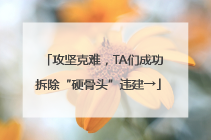 攻坚克难，TA们成功拆除“硬骨头”违建→