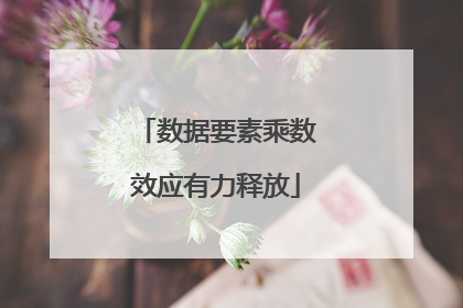 数据要素乘数效应有力释放