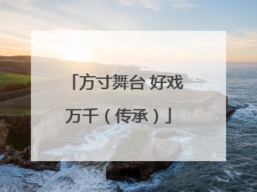 方寸舞台 好戏万千（传承）