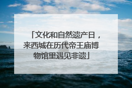 文化和自然遗产日，来西城在历代帝王庙博物馆里遇见非遗