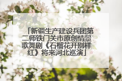 新疆生产建设兵团第二师铁门关市原创情景歌舞剧《石榴花开别样红》将来河北巡演
