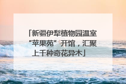 新疆伊犁植物园温室“苹果苑”开馆，汇聚上千种奇花异木