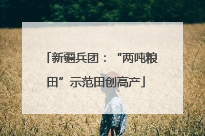新疆兵团：“两吨粮田”示范田创高产