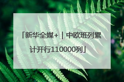 新华全媒+｜中欧班列累计开行110000列