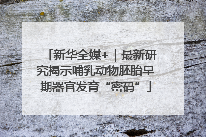 新华全媒+｜最新研究揭示哺乳动物胚胎早期器官发育“密码”