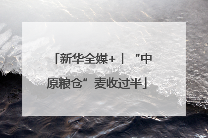 新华全媒+丨“中原粮仓”麦收过半