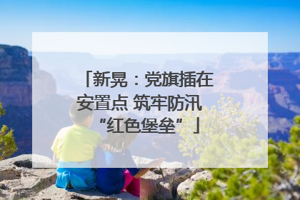 新晃：党旗插在安置点 筑牢防汛“红色堡垒”