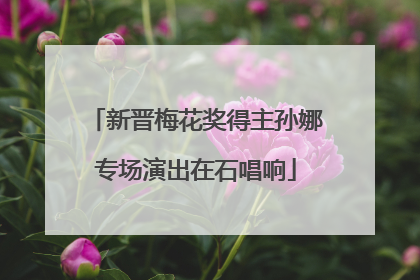 新晋梅花奖得主孙娜专场演出在石唱响