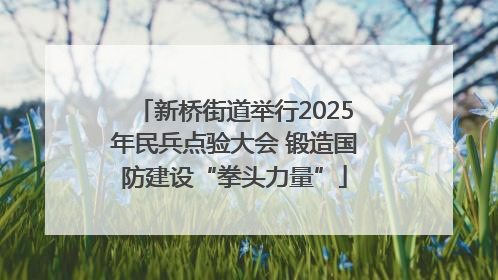 新桥街道举行2025年民兵点验大会 锻造国防建设“拳头力量”