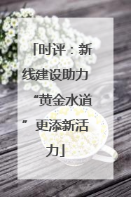 时评：新线建设助力“黄金水道”更添新活力