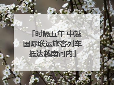 时隔五年 中越国际联运旅客列车抵达越南河内