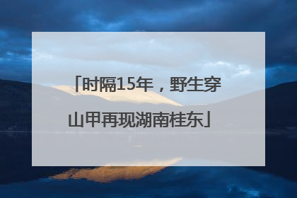 时隔15年，野生穿山甲再现湖南桂东