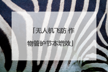 无人机飞防 作物管护节本增效