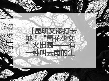 昆明又添打卡地！“簪花少女”火出圈——有一种叫云南的生活之365天