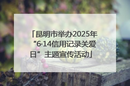 昆明市举办2025年“6·14信用记录关爱日”主题宣传活动