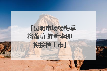 昆明市场杨梅季将落幕 蜂糖李即将接档上市