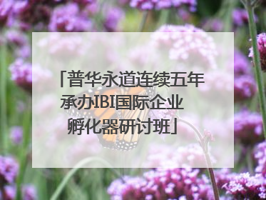普华永道连续五年承办IBI国际企业孵化器研讨班