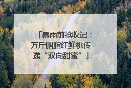 暴雨前抢收记：万斤胭脂红鲜桃传递“双向甜蜜”