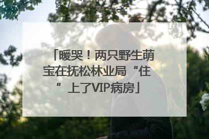 暖哭！两只野生萌宝在抚松林业局“住”上了VIP病房