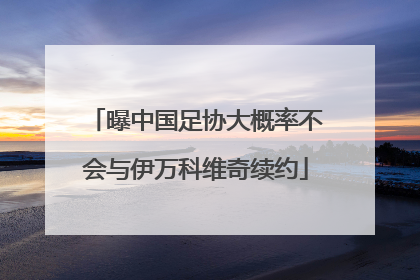 曝中国足协大概率不会与伊万科维奇续约