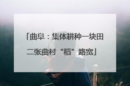 曲阜：集体耕种一块田 二张曲村“稻”路宽