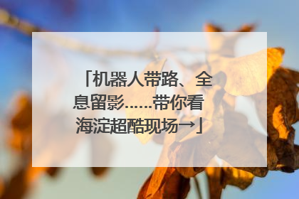 机器人带路、全息留影……带你看海淀超酷现场→