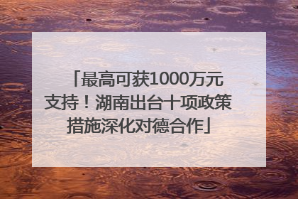 最高可获1000万元支持！湖南出台十项政策措施深化对德合作