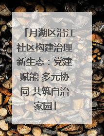 月湖区沿江社区构建治理新生态：党建赋能 多元协同 共筑自治家园