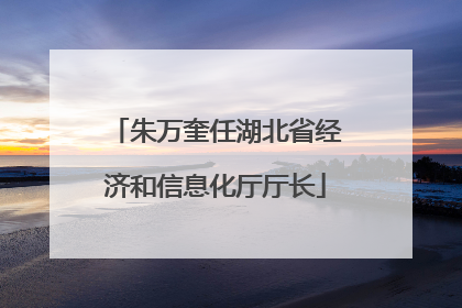 朱万奎任湖北省经济和信息化厅厅长