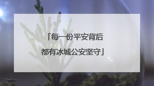 每一份平安背后 都有冰城公安坚守
