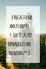 每天可储80万度电！这个大型锂钠混合储能站投产