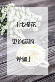 比棉花更饱满的希望