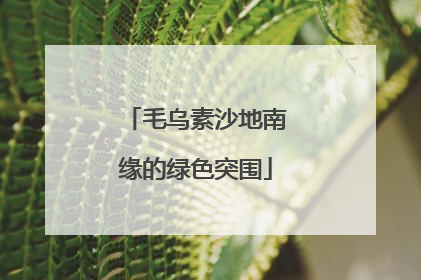 毛乌素沙地南缘的绿色突围