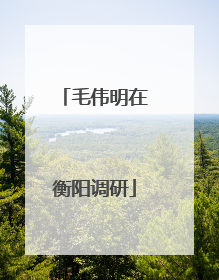 毛伟明在衡阳调研