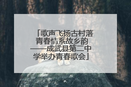 歌声飞扬古村落 青春情系故乡韵——成武县第二中学举办青春歌会