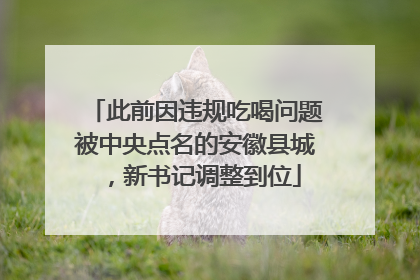 此前因违规吃喝问题被中央点名的安徽县城，新书记调整到位