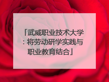 武威职业技术大学：将劳动研学实践与职业教育结合