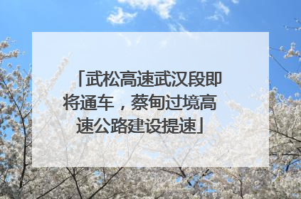 武松高速武汉段即将通车，蔡甸过境高速公路建设提速