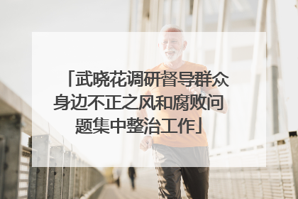 武晓花调研督导群众身边不正之风和腐败问题集中整治工作