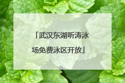 武汉东湖听涛泳场免费泳区开放