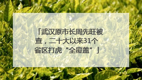武汉原市长周先旺被查，二十大以来31个省区打虎“全覆盖”
