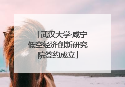 武汉大学·咸宁低空经济创新研究院签约成立