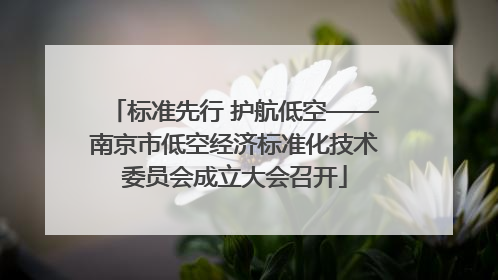 标准先行 护航低空——南京市低空经济标准化技术委员会成立大会召开