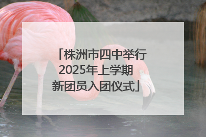 株洲市四中举行2025年上学期新团员入团仪式