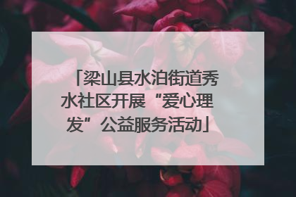 梁山县水泊街道秀水社区开展“爱心理发”公益服务活动
